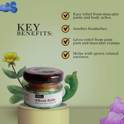 Aikout Pain Balm for Joint pain aches & sprains. Made with natural plant butters & pure herbs. Free from synthetic colours & fragrances 20 gm